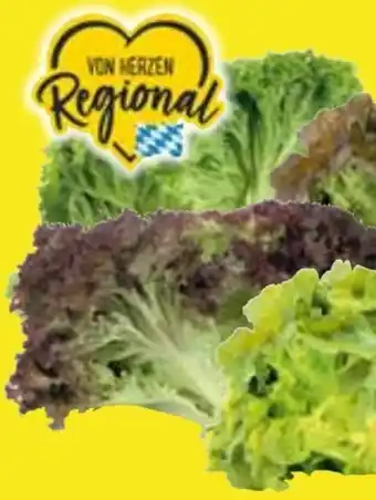 Edeka Salatspezialitäten Angebot