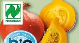 REWE Bio Kürbis Hokkaido Angebot