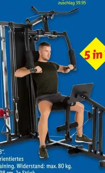 Lidl Hammer Kraftstation Ferrum TX3 Angebot