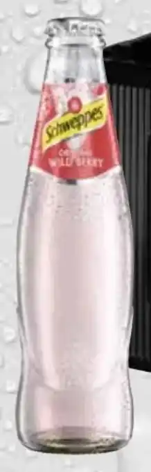 trinkgut Schweppes Original Wild Berry Angebot