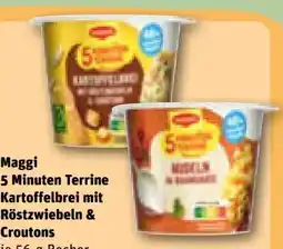 REWE Maggi 5 Minuten Terrine Kartoffelbrei mit Röstzwiebeln & Croutons Angebot
