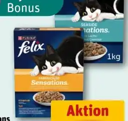 REWE Purina Felix Sensations Katzentrockennahrung Angebot