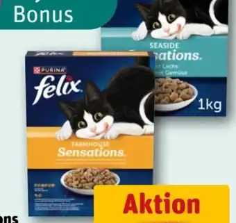 REWE Purina Felix Sensations Katzentrockennahrung Angebot