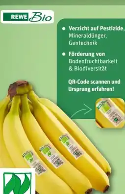 REWE Center Rewe Bio Bio-Bananen Angebot