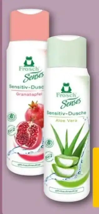 REWE Center Frosch Duschgel Angebot