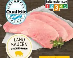 REWE Metzgerei Landbauern Schweine-Schnitzel Angebot