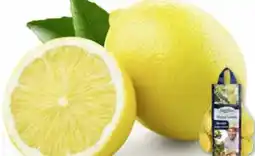 Edeka SanLucar Zitronen Angebot