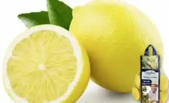 Edeka SanLucar Zitronen Angebot
