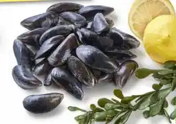 Edeka Sylter Muscheln Bio Angebot