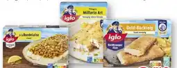 Scheck-in-Center Iglo Schlemmer-Filet Angebot