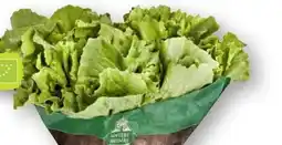 Scheck-in-Center Unsere Heimat Echt & Gut Bio-Endiviensalat Angebot