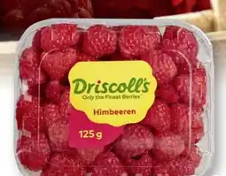 Scheck-in-Center Driscoll's Himbeeren Angebot