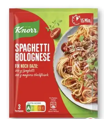 Scheck-in-Center Knorr Fix Spaghetti Bolognese Angebot