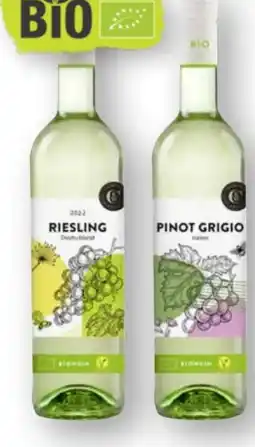 Scheck-in-Center Rheinberg Kellerei Bio-Weine Riesling Angebot