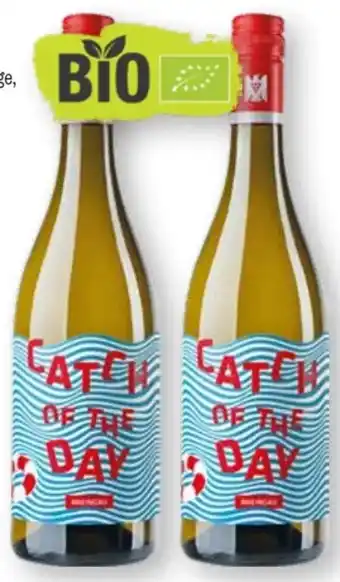 Scheck-in-Center Bioweingut Kaufmann Catch of the day Angebot
