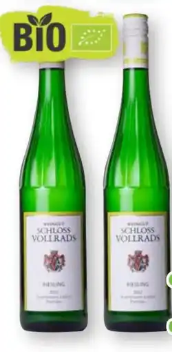 Scheck-in-Center Schloss Vollrads Riesling Angebot