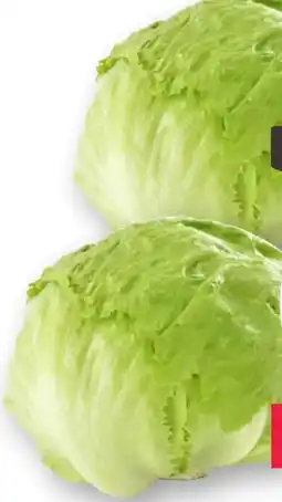 Scheck-in-Center Eisbergsalat Angebot