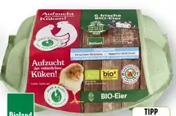 Scheck-in-Center Unsere Heimat Echt & Gut Huhn Hahn Bio-Eier Angebot