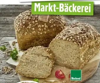 Scheck-in-Center Edeka Bäckerei Bio Saatenbrot Angebot