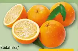 REWE Center Orangen Angebot
