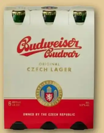 REWE Budweiser Budvar (CZ) Premium Lager Angebot