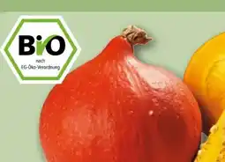 REWE Rewe Bio Bio-Hokkaido Kürbis Angebot