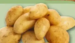 REWE Speisekartoffeln Angebot