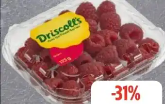 Edeka Frischemarkt Driscoll's Himbeeren Angebot