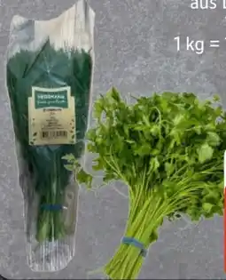 Edeka Kräuterbunde Dill XXL Angebot