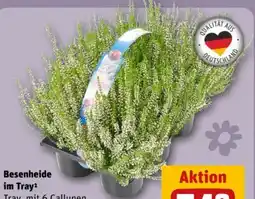 REWE Center Besenheide im Tray Angebot