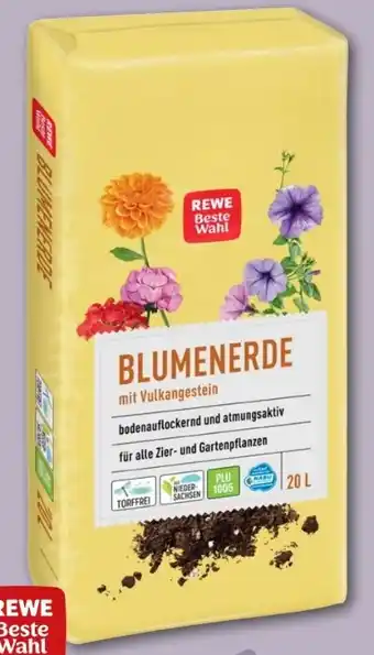 REWE Center Rewe Beste Wahl Blumenerde Angebot
