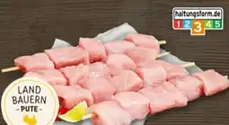 REWE Metzgerei Landbauern Putenbrustspieße Angebot