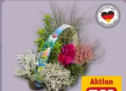 REWE Center Herbstlicher Mix Angebot