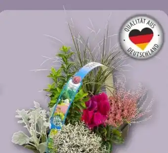 REWE Herbstlicher Mix Angebot