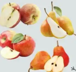 Globus Baumarkt Bio-Obstbäume Angebot