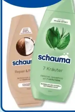 Budni Schwarzkopf Schauma Shampoo Angebot