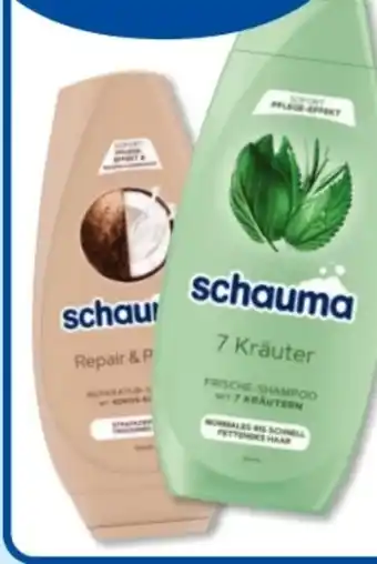 Budni Schwarzkopf Schauma Shampoo Angebot