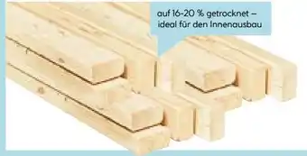 Hellweg Unterkonstruktionslatte Angebot