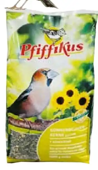 Hellweg Pfiffikus Sonnenblumenkerne Angebot