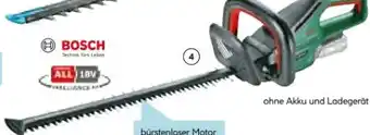 Hellweg Bosch Akku-Heckenschere Universal-Hedge-Cut 18V-55 Solo Angebot