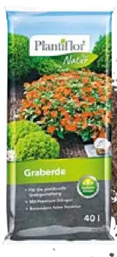 Hellweg Plantiflor Graberde Angebot