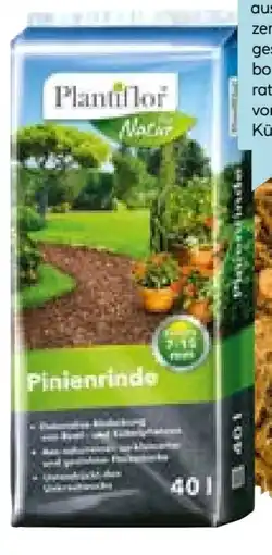 Hellweg Plantiflor Pinienrinde Angebot