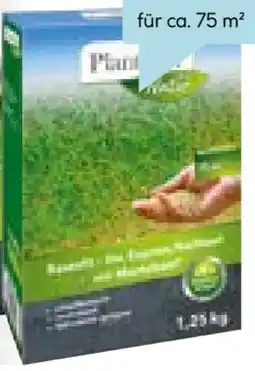 Hellweg Plantiflor Rasennachsaat Rasenfit Express Angebot