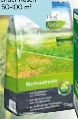 Hellweg Plantiflor Nachsaatrasen Angebot