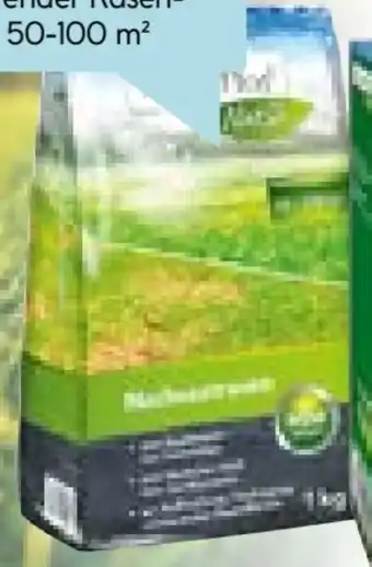 Hellweg Plantiflor Nachsaatrasen Angebot