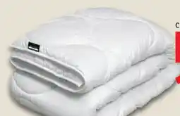 Lidl John Cotton Steppbett Angebot