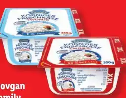 Lidl Dovgan Family Körniger Frischkäse XXL Angebot