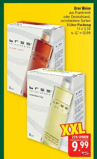 Marktkauf Bree pinot noir Angebot