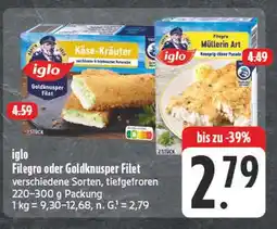 E-Center Iglo filegro Angebot