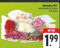 E-Center Edelnelken mix Angebot